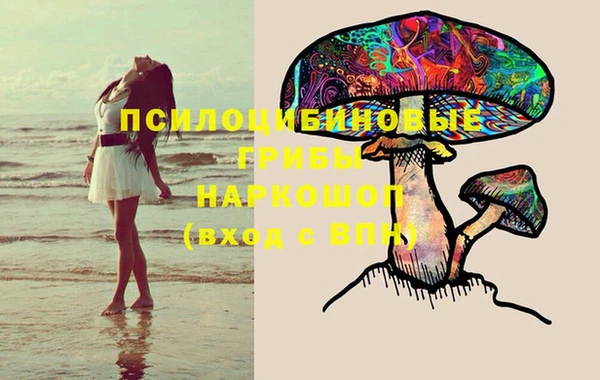 кокаин колумбия Каменногорск